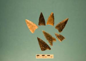Dorset Paleoeskimo Artifacts From Bird Cove (Photo Latonia Hartery)
